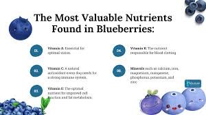 can dogs have blueberries