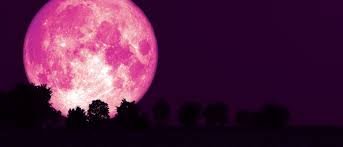 Strawberry Moon