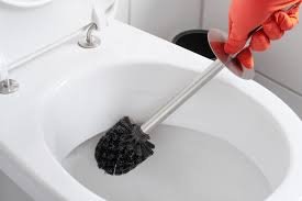 how to unclog a toilet