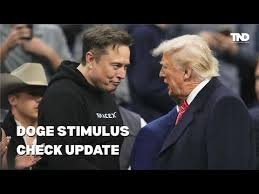 doge stimulus check